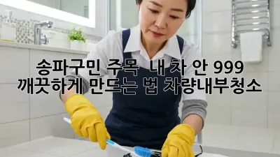 송파구민 주목! ✨ 내 차 안, 99.9% 깨끗하게 만드는 법 #차량내부청소