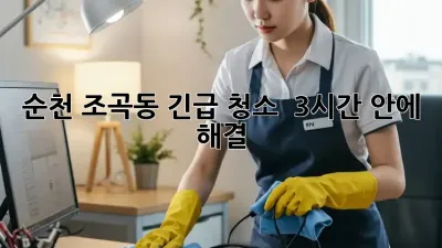 순천 조곡동 긴급 청소, ✨ 3시간 안에 해결?! 💨